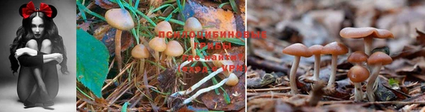 каннабис Костерёво