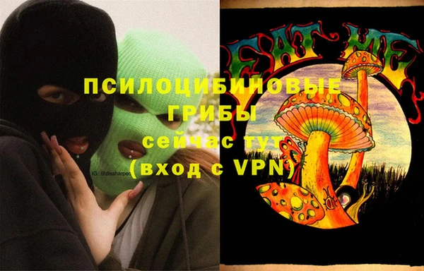 бошки Коряжма