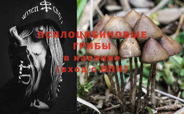 бошки Коряжма