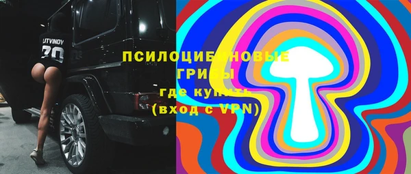 бошки Коряжма